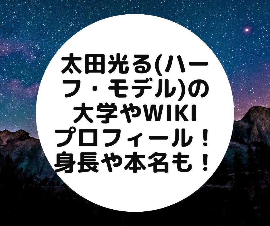 太田光る wiki